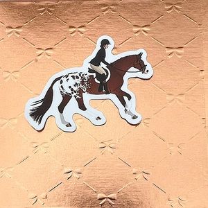 Appaloosa Equestrian Horse Girl Horse Boy Cowboy CowGirl Single Decor Sticker